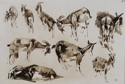 Mathurin MEHEUT : La Chèvre, Lithographie signée