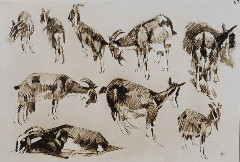 Mathurin MEHEUT : La Chèvre, Lithographie signée