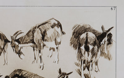 Mathurin MEHEUT : La Chèvre, Lithographie signée