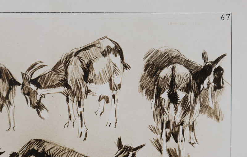 Mathurin MEHEUT : La Chèvre, Lithographie signée
