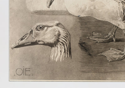 Mathurin MEHEUT : L'Oie, Lithographie signée