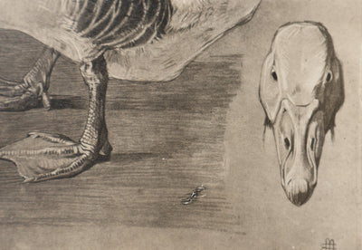 Mathurin MEHEUT : L'Oie, Lithographie signée