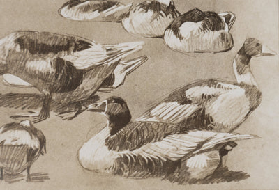 Mathurin MEHEUT : L'Oie, Lithographie signée