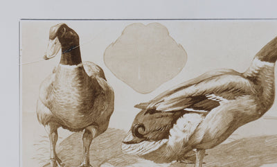 Mathurin MEHEUT : Le Canard, Lithographie signée
