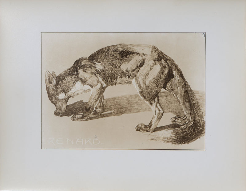 Mathurin MEHEUT : Le Renard , Lithographie