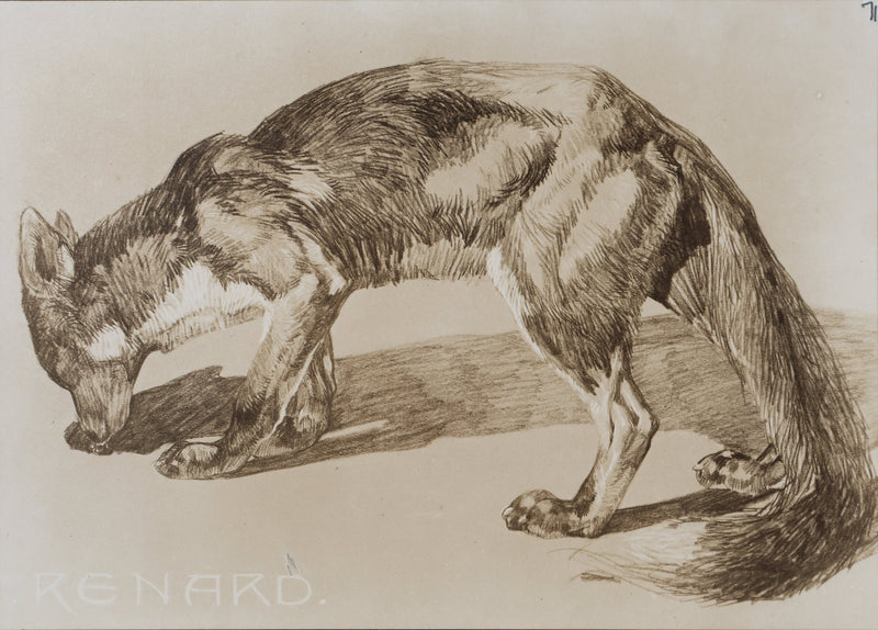 Mathurin MEHEUT : Le Renard , Lithographie