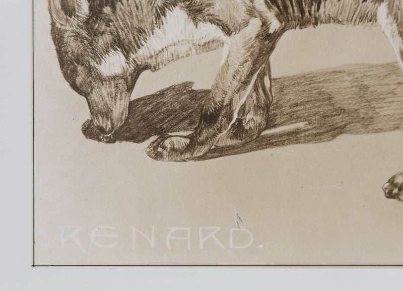 Mathurin MEHEUT : Le Renard , Lithographie