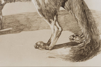 Mathurin MEHEUT : Le Renard , Lithographie