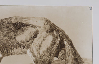 Mathurin MEHEUT : Le Renard , Lithographie