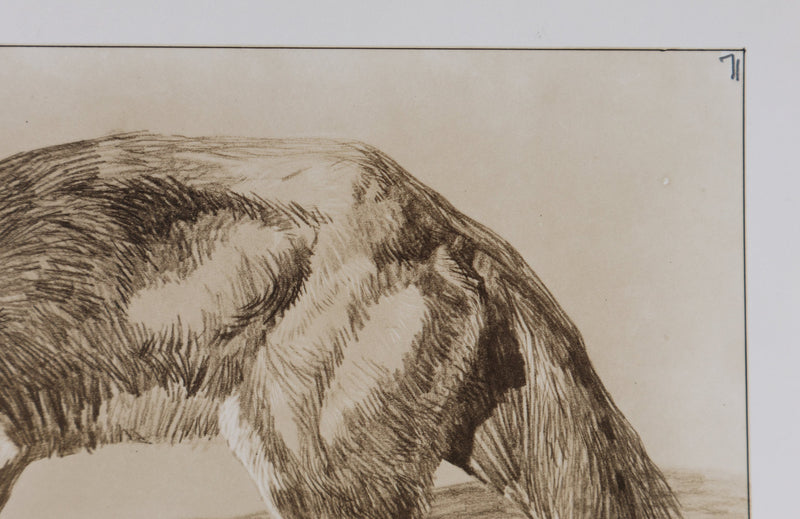 Mathurin MEHEUT : Le Renard , Lithographie