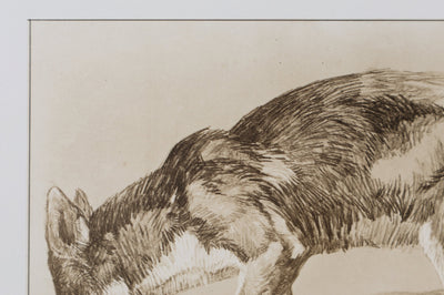 Mathurin MEHEUT : Le Renard , Lithographie