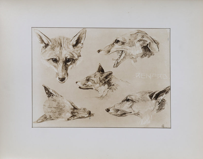 Mathurin MEHEUT : Le Renard, Lithographie signée