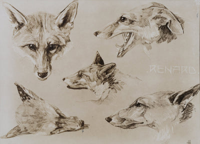Mathurin MEHEUT : Le Renard, Lithographie signée