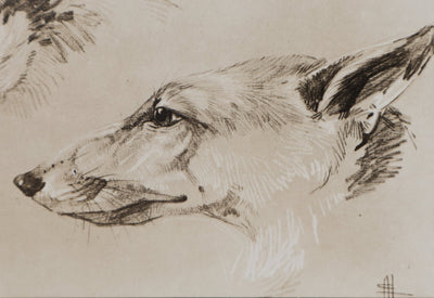 Mathurin MEHEUT : Le Renard, Lithographie signée