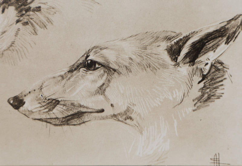 Mathurin MEHEUT : Le Renard, Lithographie signée