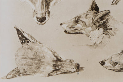 Mathurin MEHEUT : Le Renard, Lithographie signée
