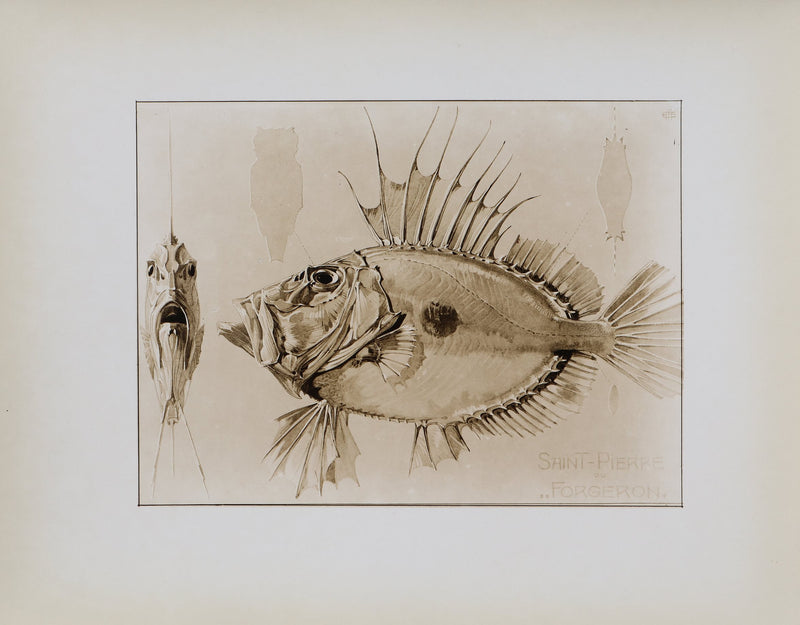 Mathurin MEHEUT : Le Saint-Pierre, Lithographie signée