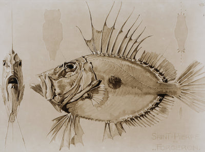 Mathurin MEHEUT : Le Saint-Pierre, Lithographie signée