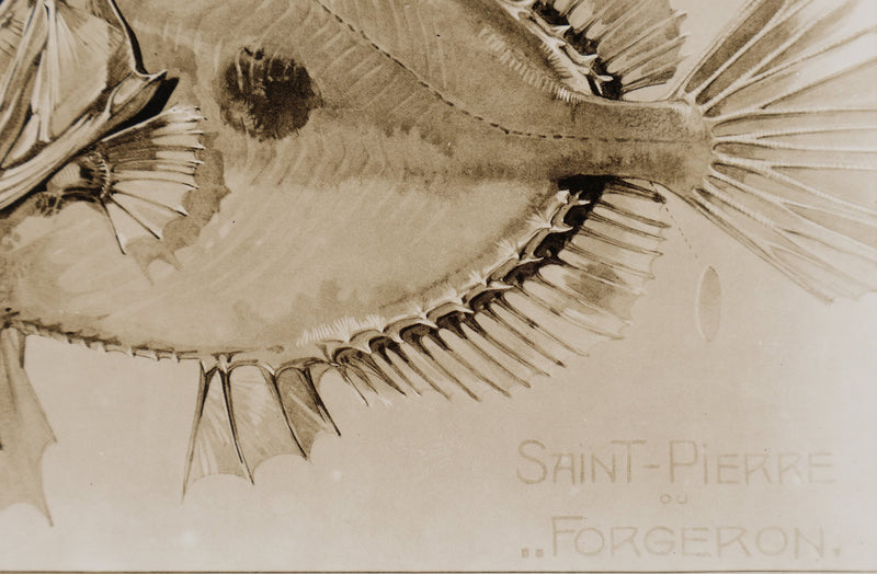 Mathurin MEHEUT : Le Saint-Pierre, Lithographie signée