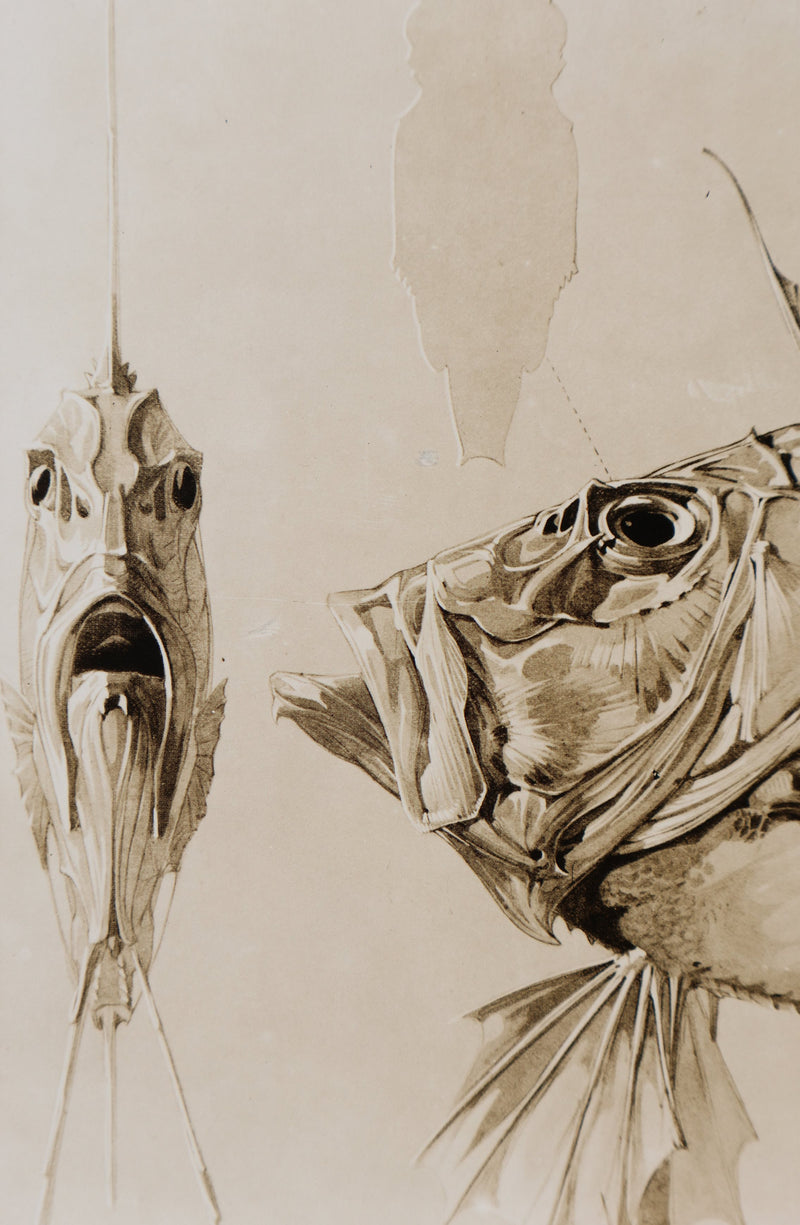Mathurin MEHEUT : Le Saint-Pierre, Lithographie signée