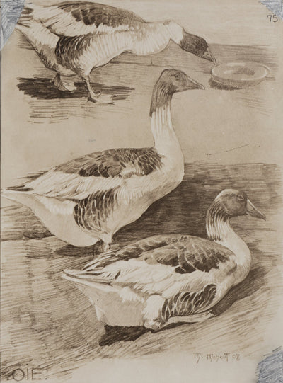 Mathurin MEHEUT : L'Oie, Lithographie signée