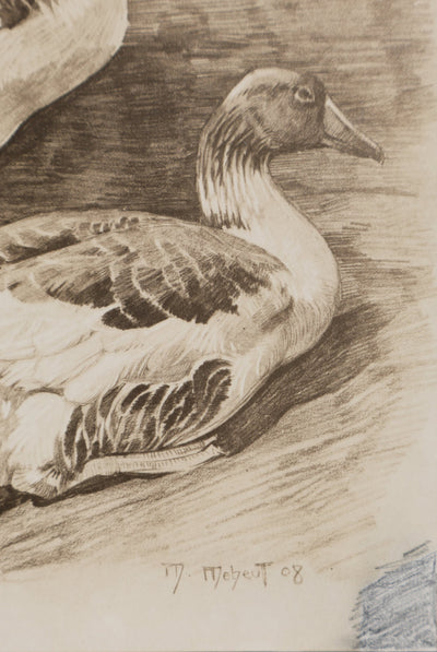 Mathurin MEHEUT : L'Oie, Lithographie signée