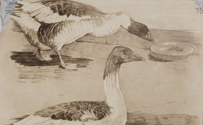 Mathurin MEHEUT : L'Oie, Lithographie signée