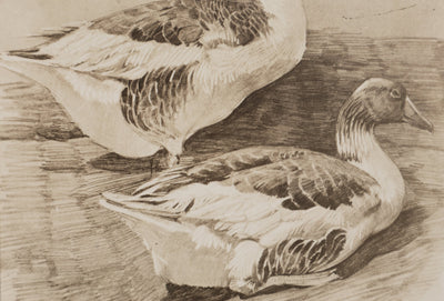 Mathurin MEHEUT : L'Oie, Lithographie signée
