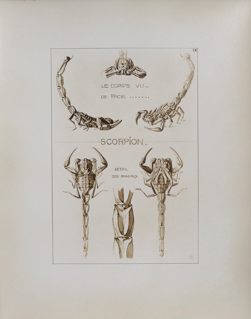 Mathurin MEHEUT : Le Scorpion, Lithographie signée