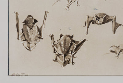 Mathurin MEHEUT : La Chauve-Souris, Lithographie signée