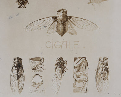 Mathurin MEHEUT : La Cigale , Lithographie