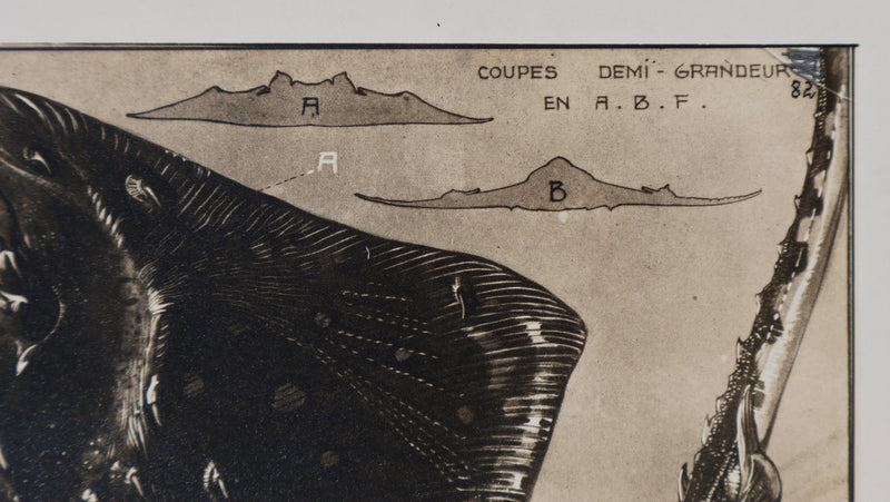 Mathurin MEHEUT : La Raie Bouclée, Lithographie signée