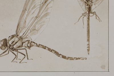 Mathurin MEHEUT : La Libellule, Lithographie signée