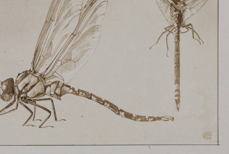 Mathurin MEHEUT : La Libellule, Lithographie signée