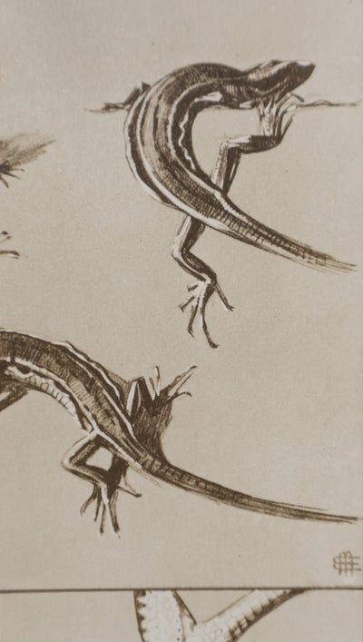 Mathurin MEHEUT : Le Lézard, Lithographie signée