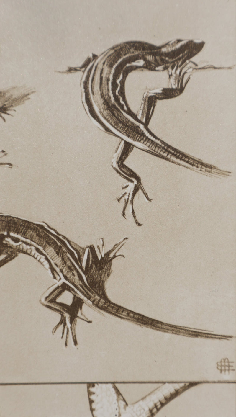 Mathurin MEHEUT : Le Lézard, Lithographie signée