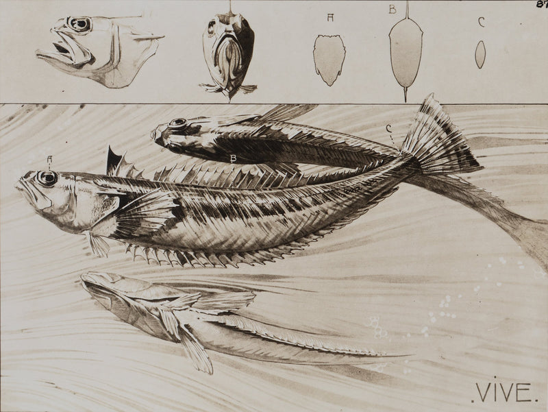Mathurin MEHEUT : La Vive , Lithographie