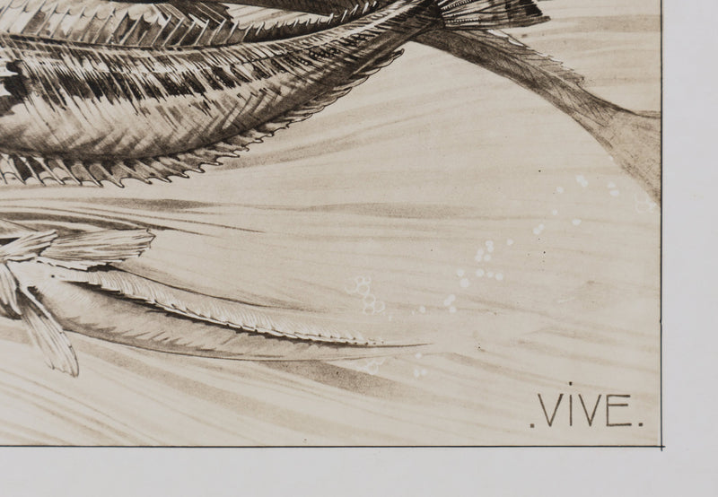 Mathurin MEHEUT : La Vive , Lithographie
