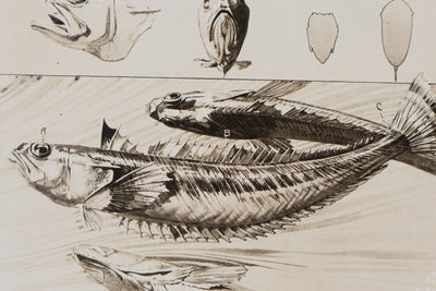Mathurin MEHEUT : La Vive , Lithographie