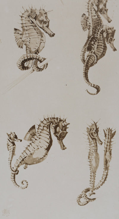 Mathurin MEHEUT : L'Hippocampe , Lithographie