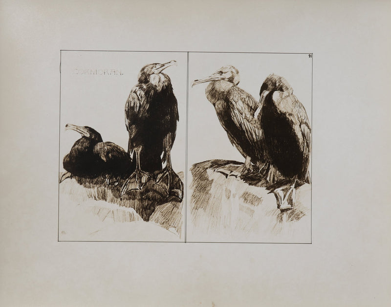 Mathurin MEHEUT : Le Cormoran, Lithographie signée