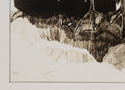 Mathurin MEHEUT : Le Cormoran, Lithographie signée