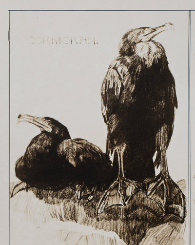 Mathurin MEHEUT : Le Cormoran, Lithographie signée