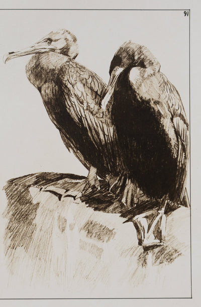 Mathurin MEHEUT : Le Cormoran, Lithographie signée