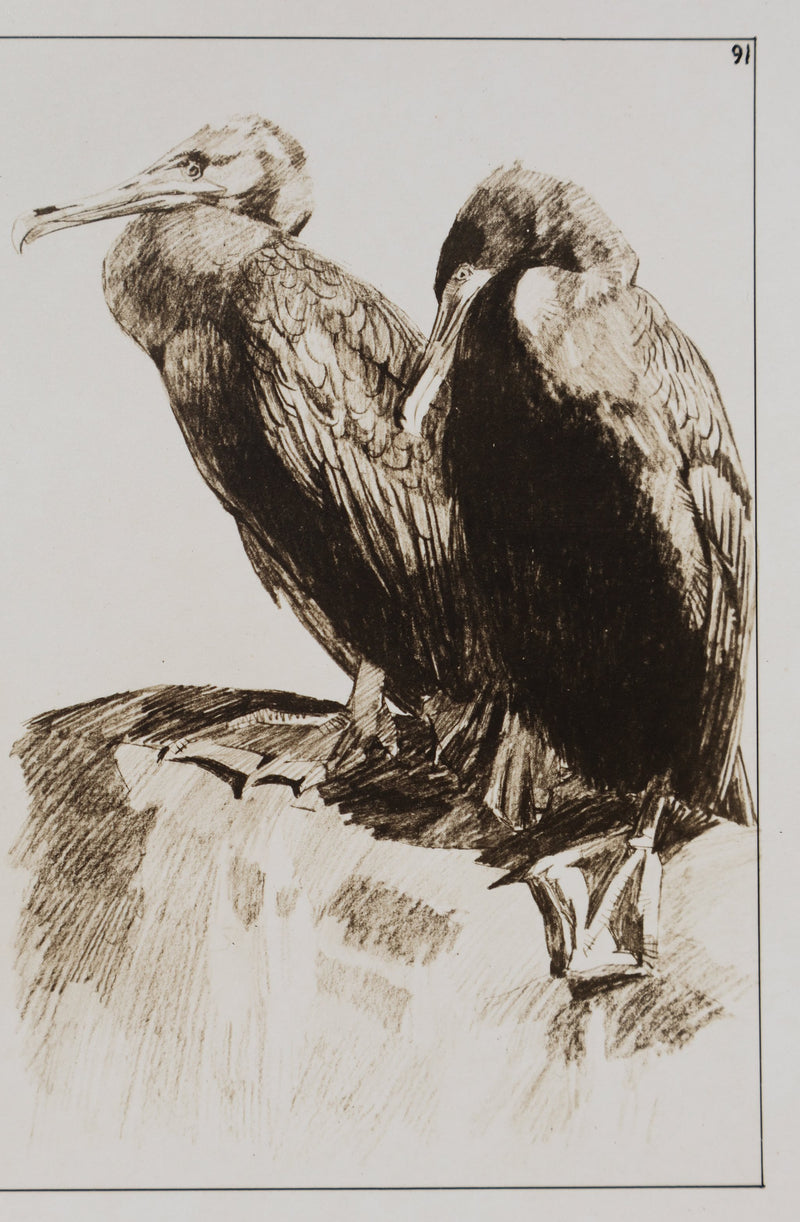 Mathurin MEHEUT : Le Cormoran, Lithographie signée