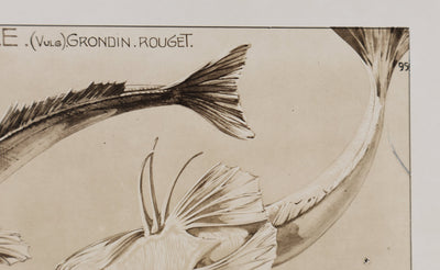 Mathurin MEHEUT : La Trigle, Lithographie signée