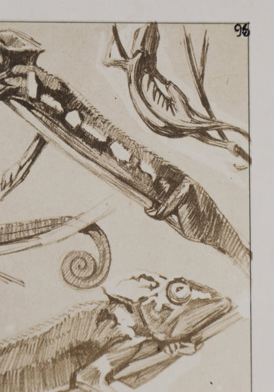 Mathurin MEHEUT : Le Caméléon, Lithographie