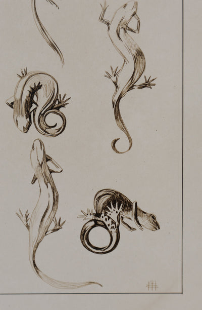 Mathurin MEHEUT : La Salamandre, Lithographie signée