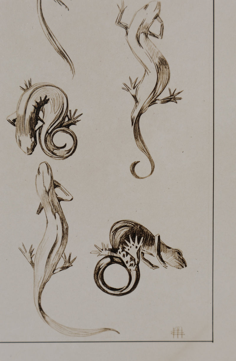 Mathurin MEHEUT : La Salamandre, Lithographie signée