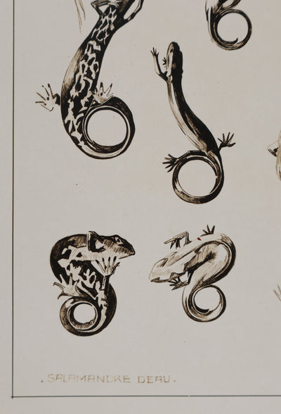 Mathurin MEHEUT : La Salamandre, Lithographie signée